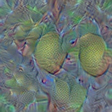 n07754684 jackfruit, jak, jack